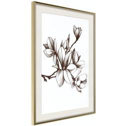 Arkiio Affisch Renaissance Magnolias [Poster] 40x60 Poster